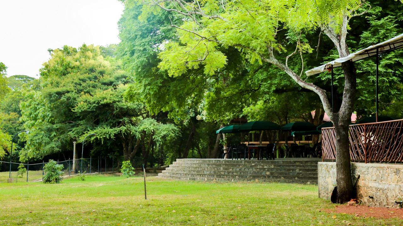 Bed and Breakfast Malwathu Oya Caravan Park Anuradhápura Exteriér fotografie